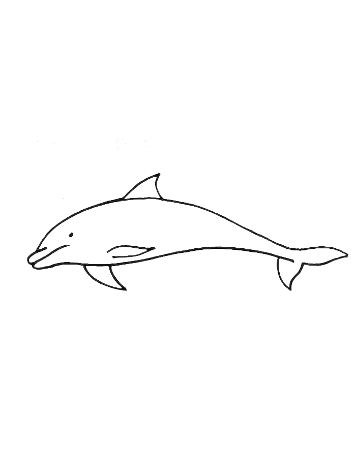 Killer Whale For Kids And Toddlers Coloring Page