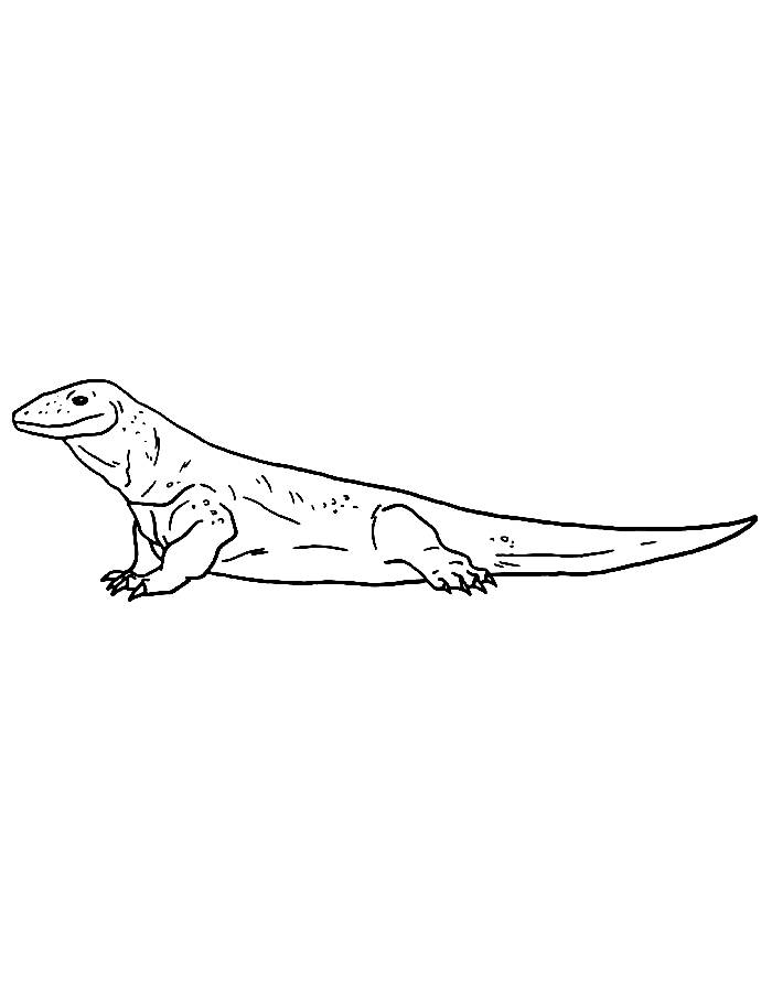 Komodo Dragon Drawing Printable Coloring Page