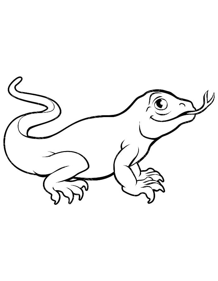 Komodo Dragon Simple Art Coloring Page