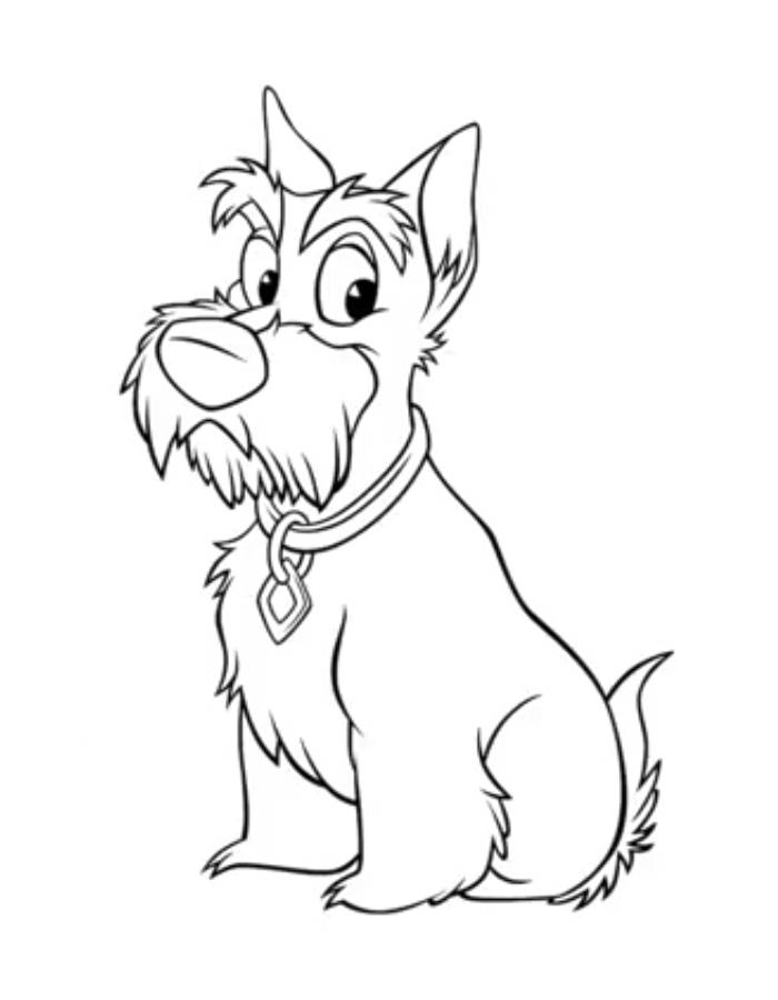 Lady And The Tramp Jock Coloring Page