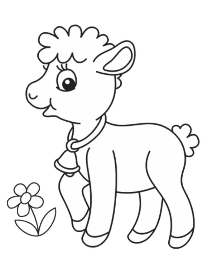 Lamb Easy Drawings