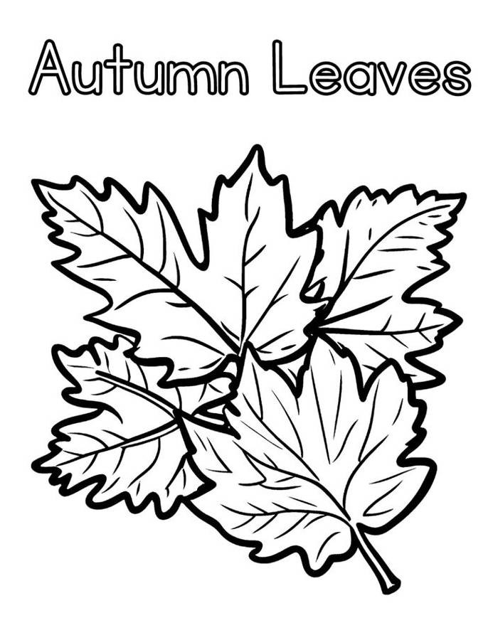 Leaf  coloring page