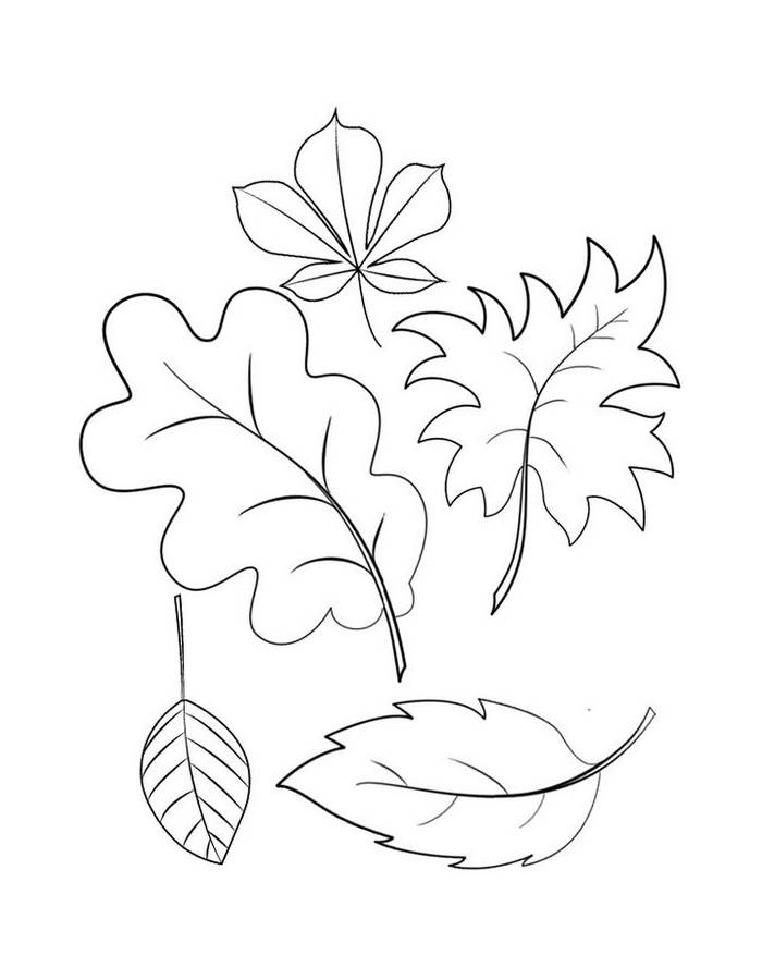 Leaf Images Coloring Page