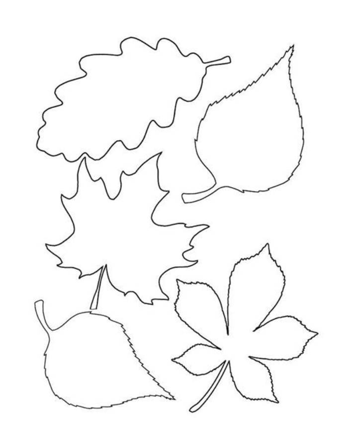 Leaf Template Coloring Page