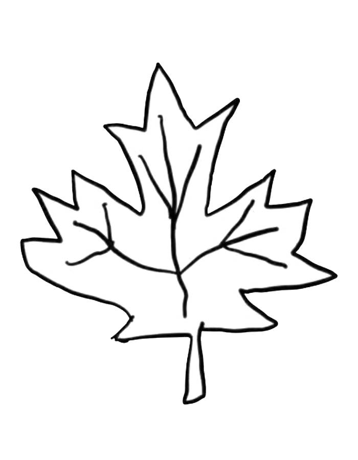 Leaf Worksheet Coloring Page