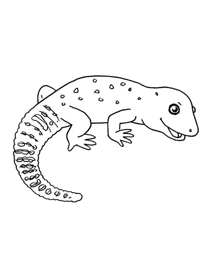 Leopard Gecko Drawing Coloring Page