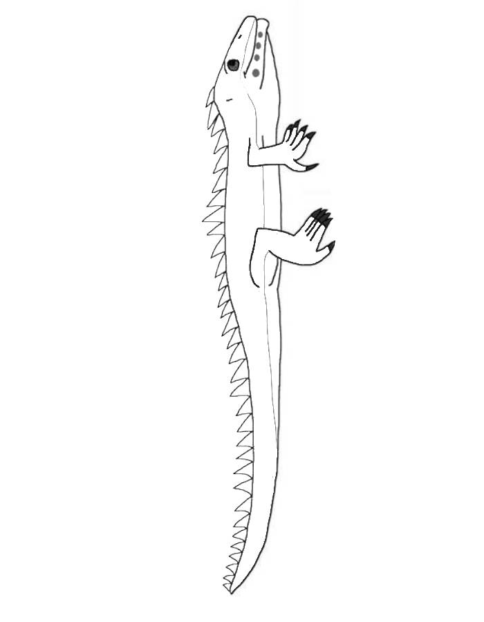 Lepidosauria Coloring Page