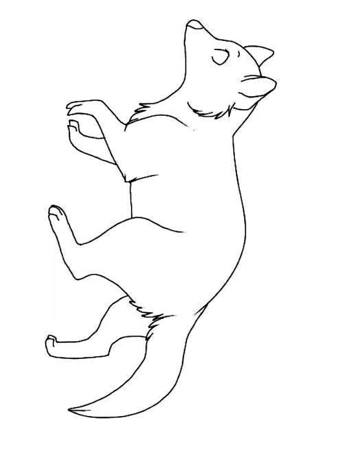 Line Drawing Raccoon Coloring Page