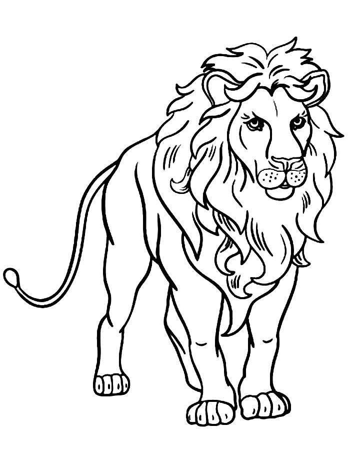 Lion Coloring Pages (Free Printable PDF)