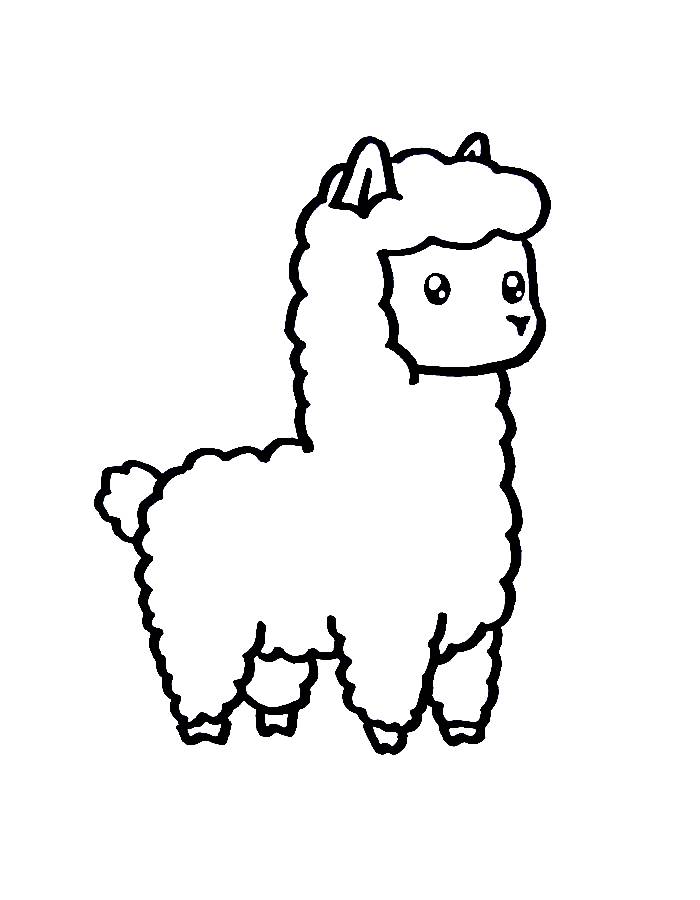 Llama Easy Anİmal Drawing