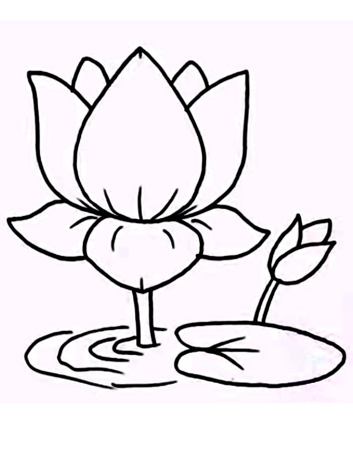 Lotus  coloring page