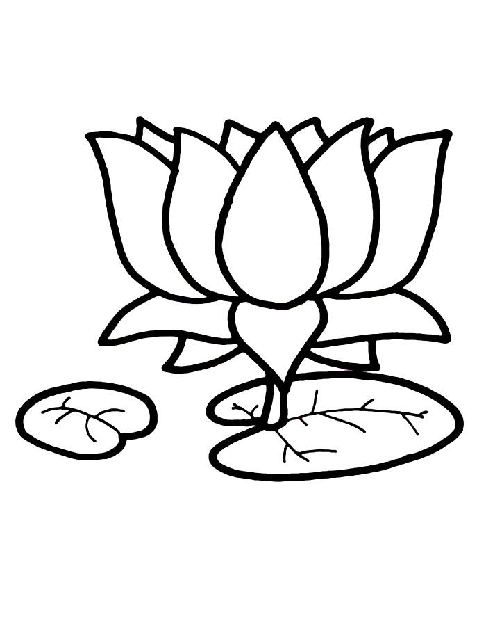 Lotus Flower Easy Coloring Page