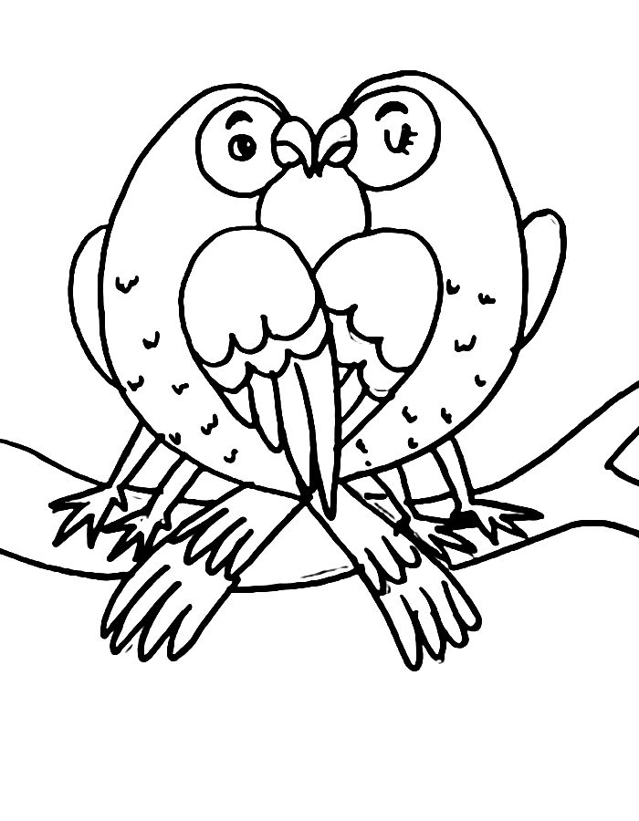 Love birds  coloring page