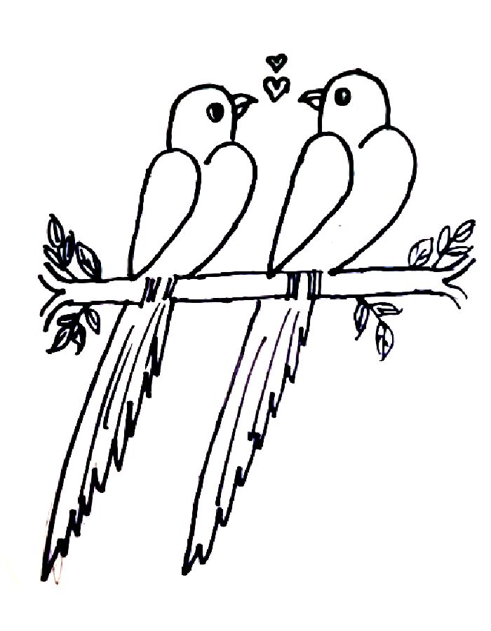 Love Birds Drawing Images Coloring Page