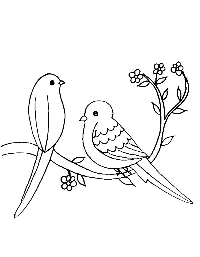 Love Birds Line Arts Coloring Page