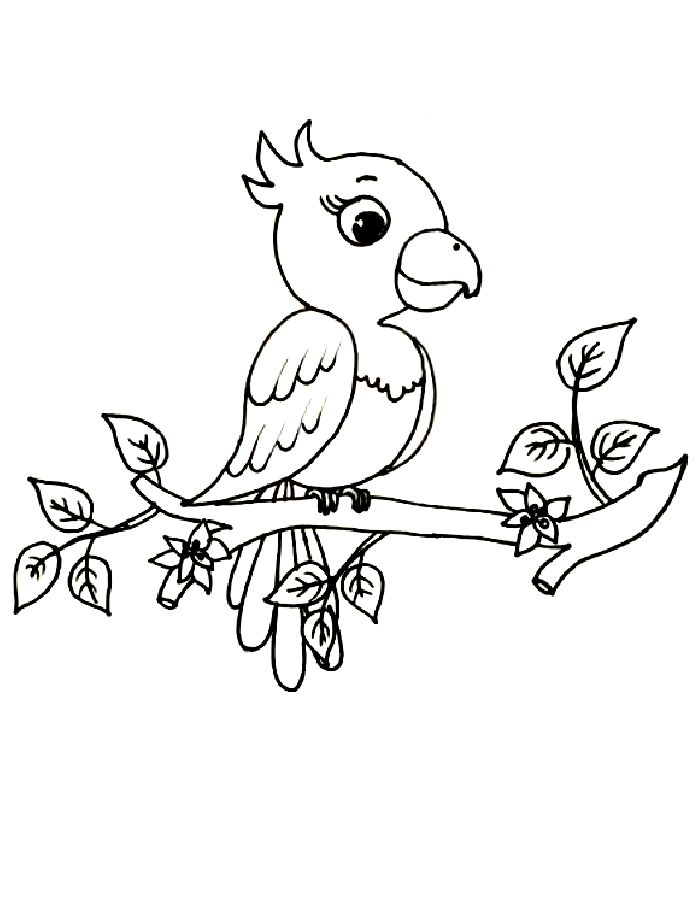 Macaw On Branch Coloring Page