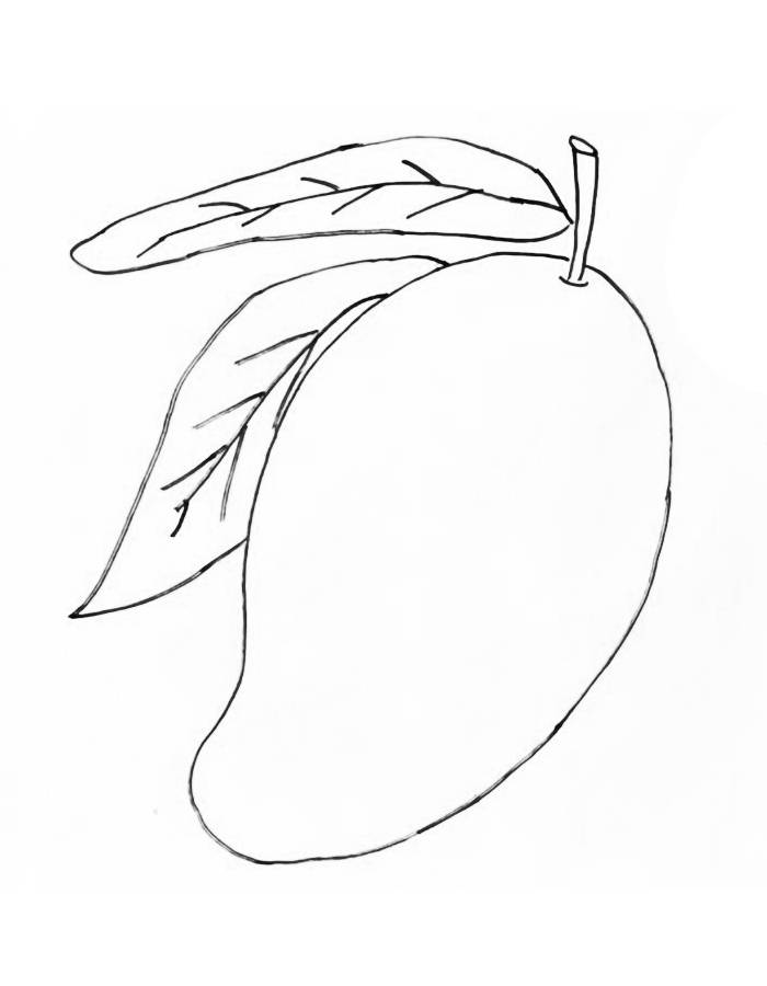 Mango Fruit Easy Drawing Coloring Page