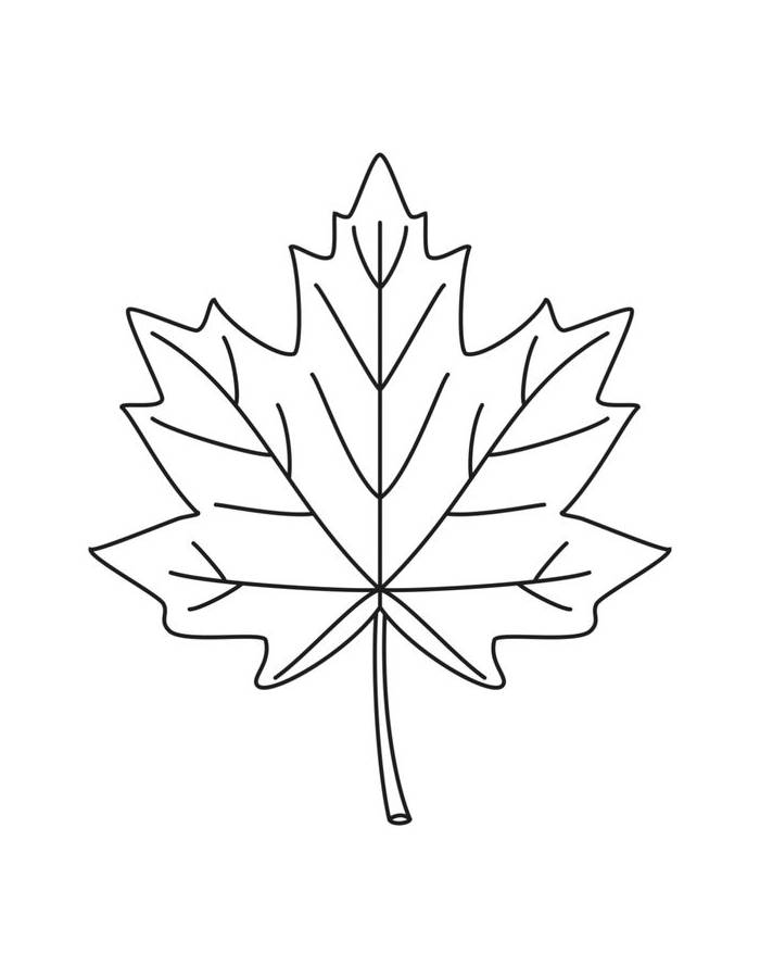 Maple Leaf Coloring Page