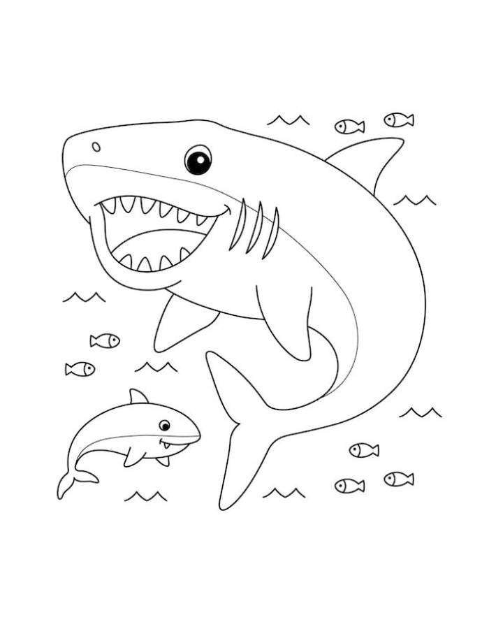 Megalodon For Kids