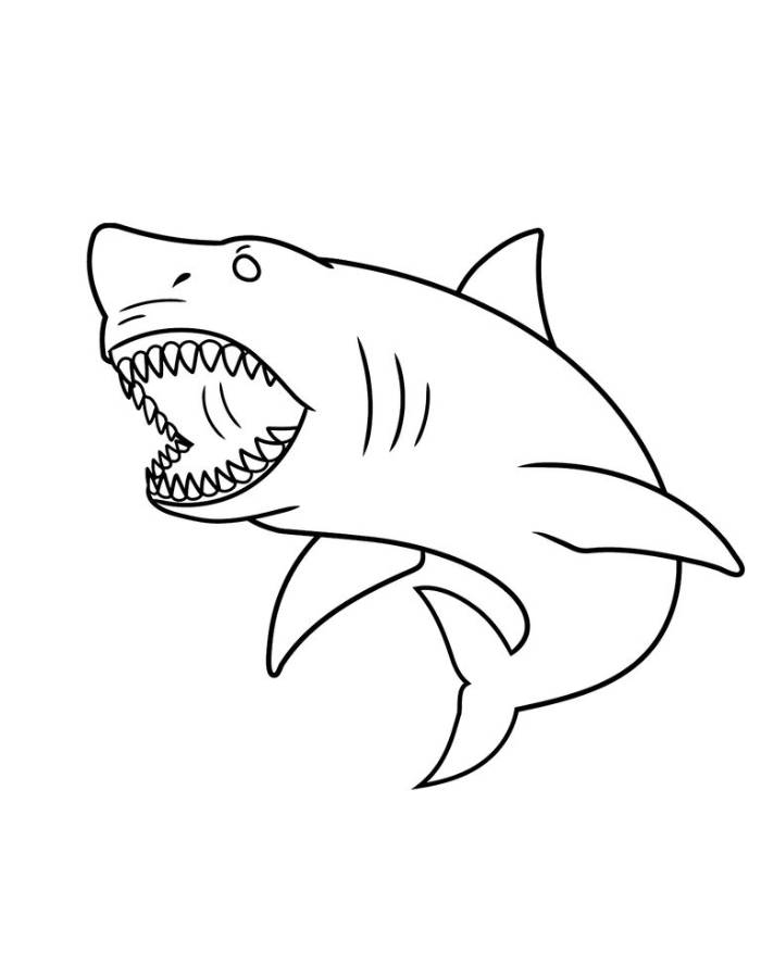 megalodon sheet