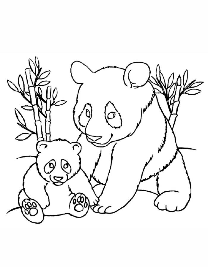 Mom And Baby Panda Drawing Coloring Page