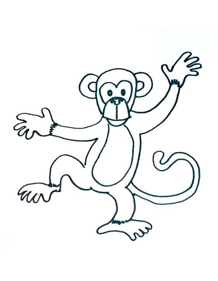 Monkey Color Picture Coloring Page