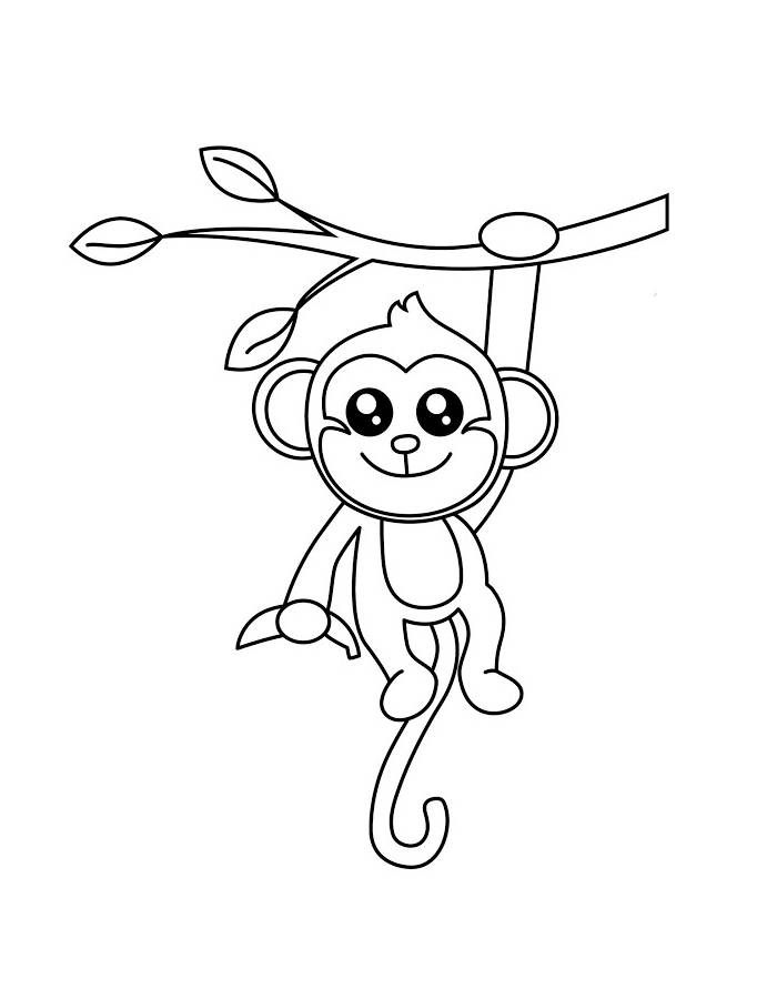 Monkey Color Sheet Coloring Page