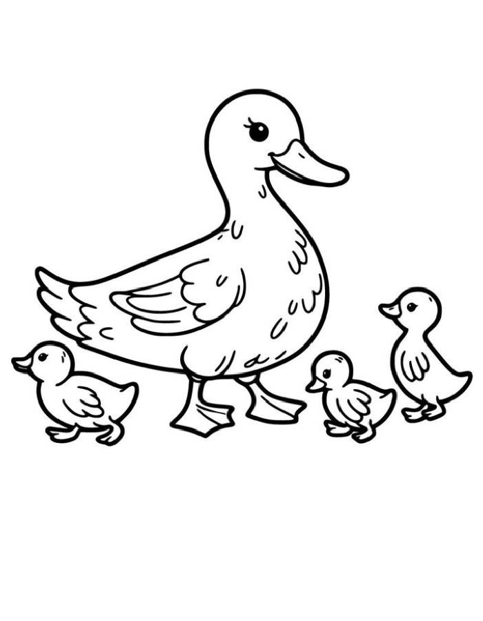 Mother Duck Ducklings