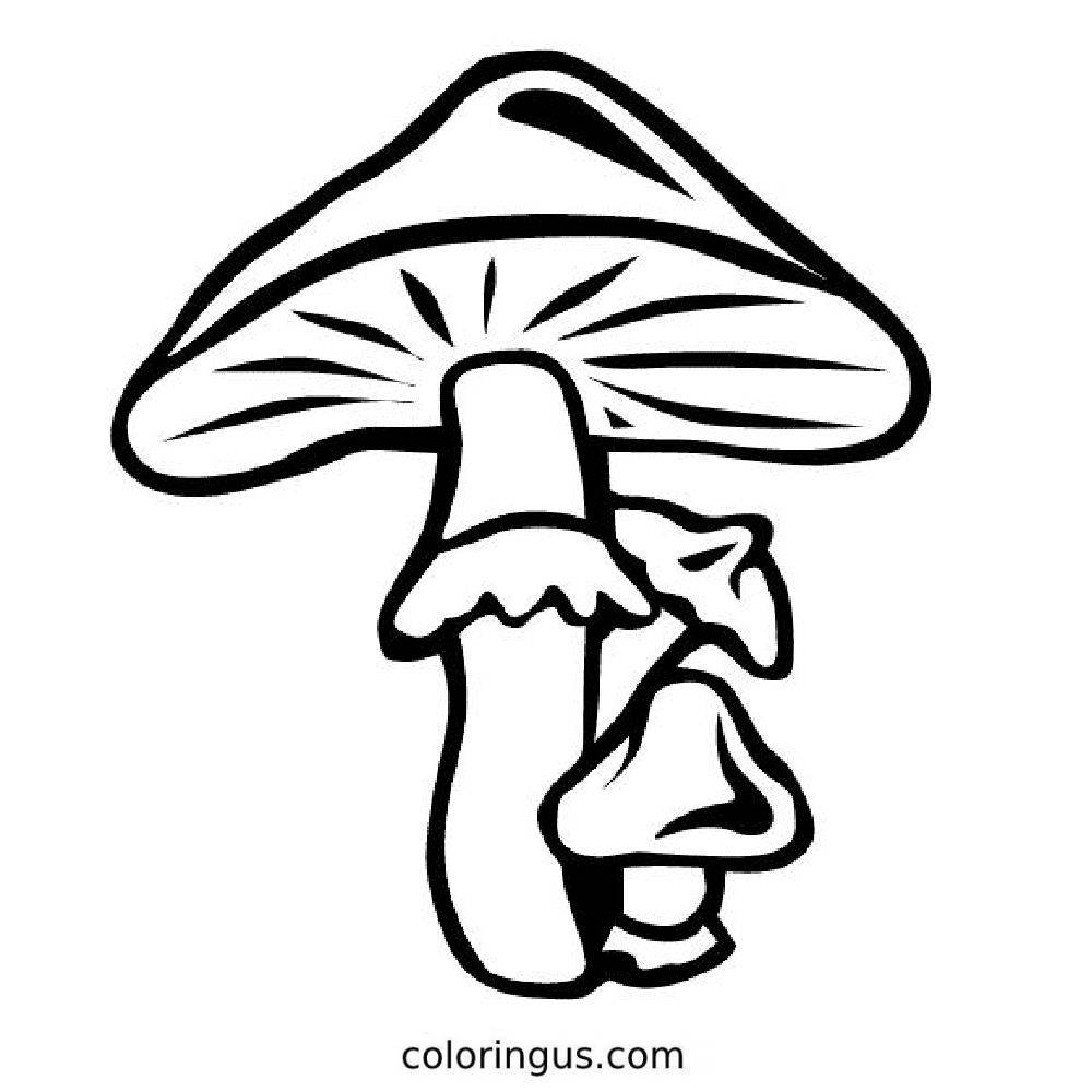 Throwback  Mushroom Sheet Coloring Page