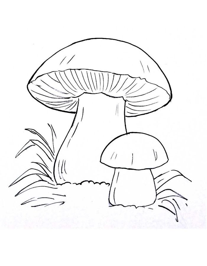 Mushroom Pictures To Color Coloring Page