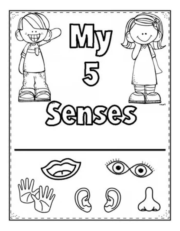 My 5 Senses Worksheet Coloring Page