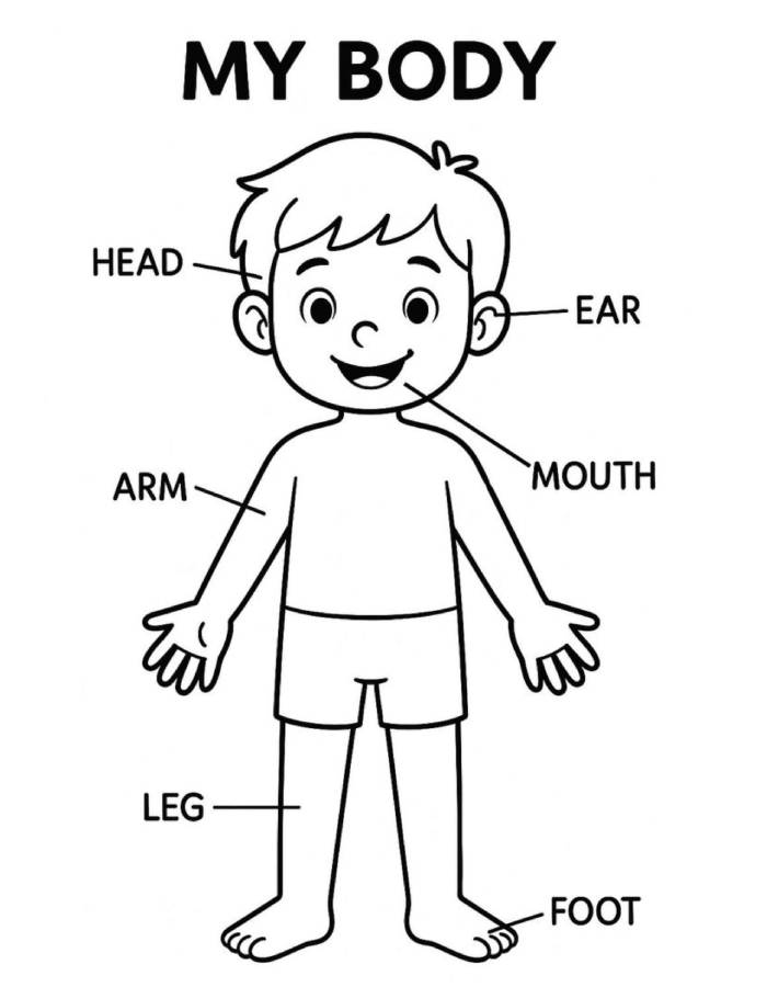 My Body Parts Diagram For Kids Coloring Page