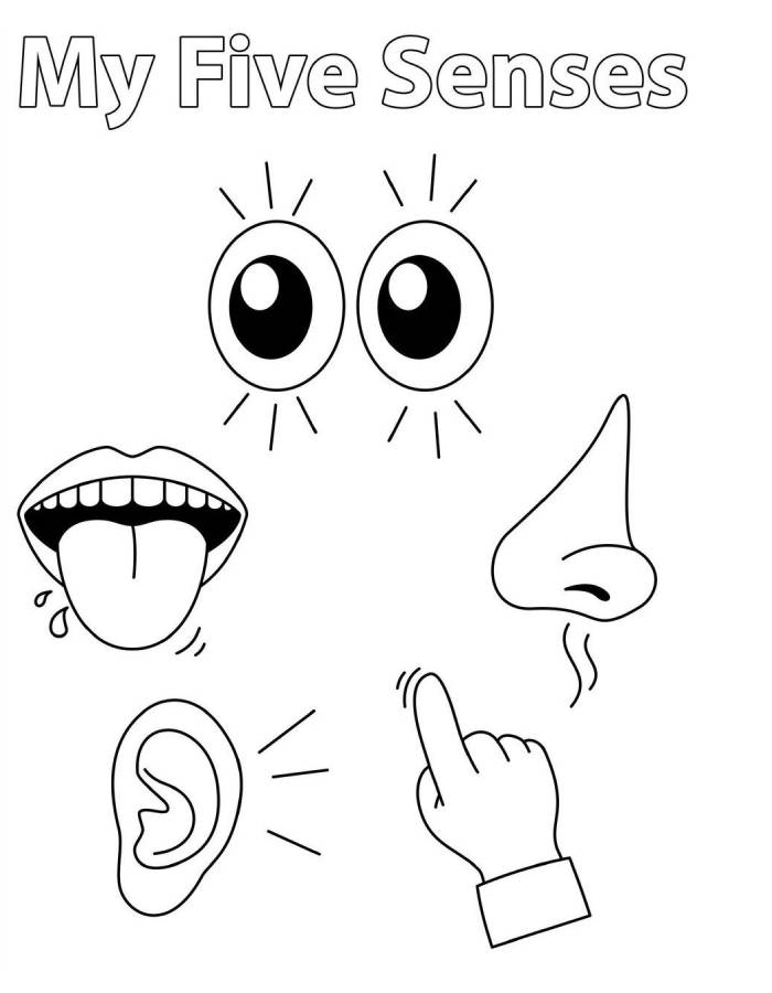 5 senses coloring page