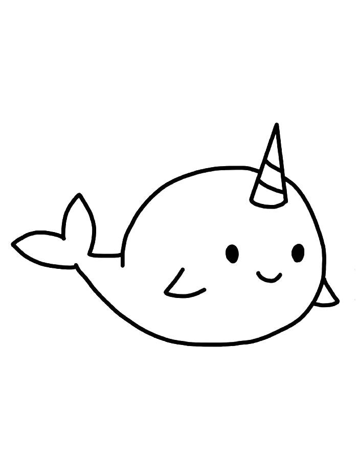 Narwhal Color Sheet Coloring Page