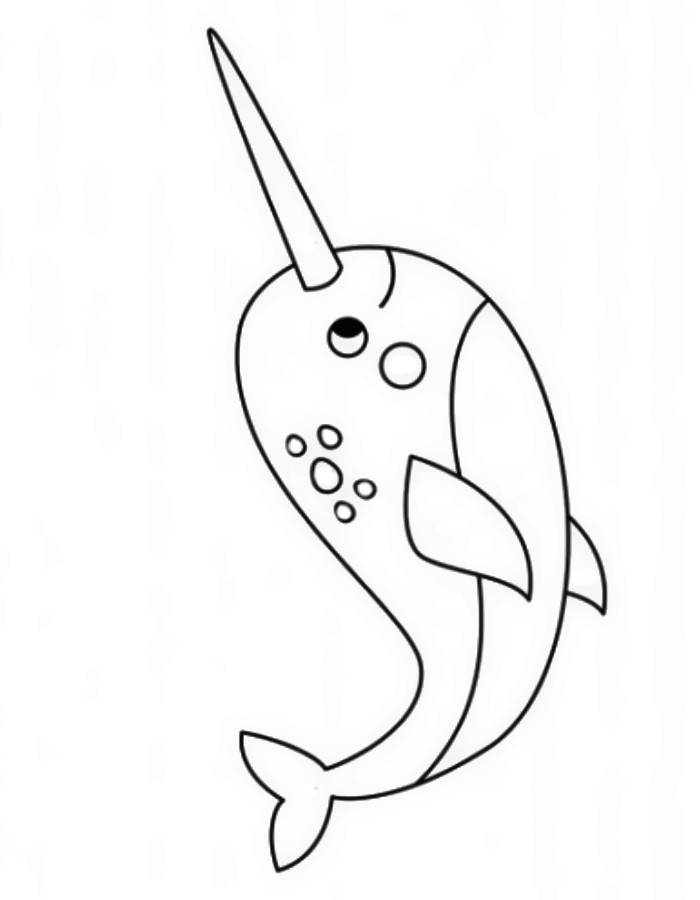 Narwhal coloring page