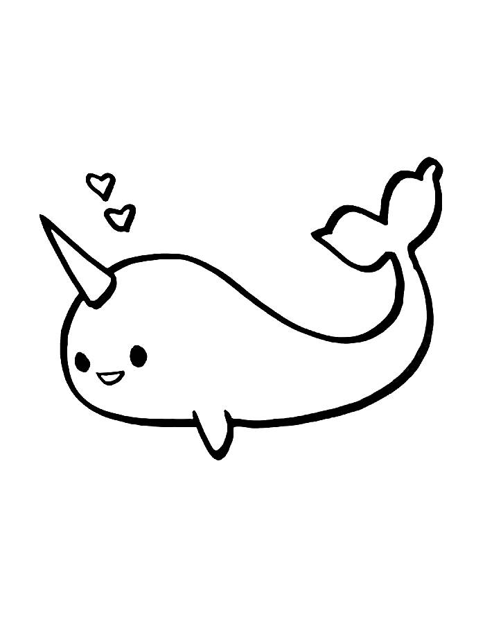 Narwhal Easy Things Coloring Page