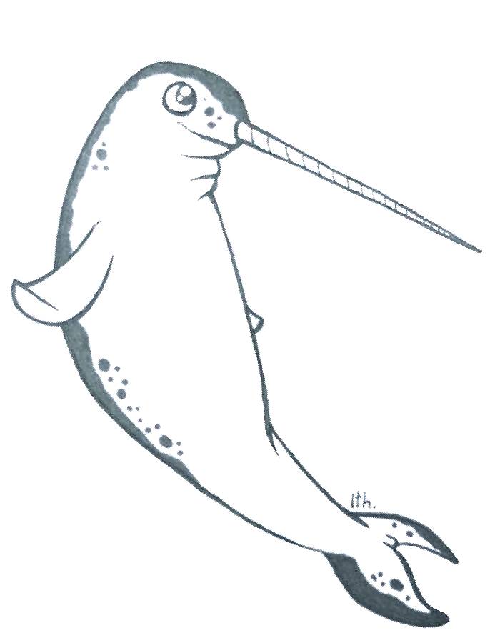 Narwhal Line Art