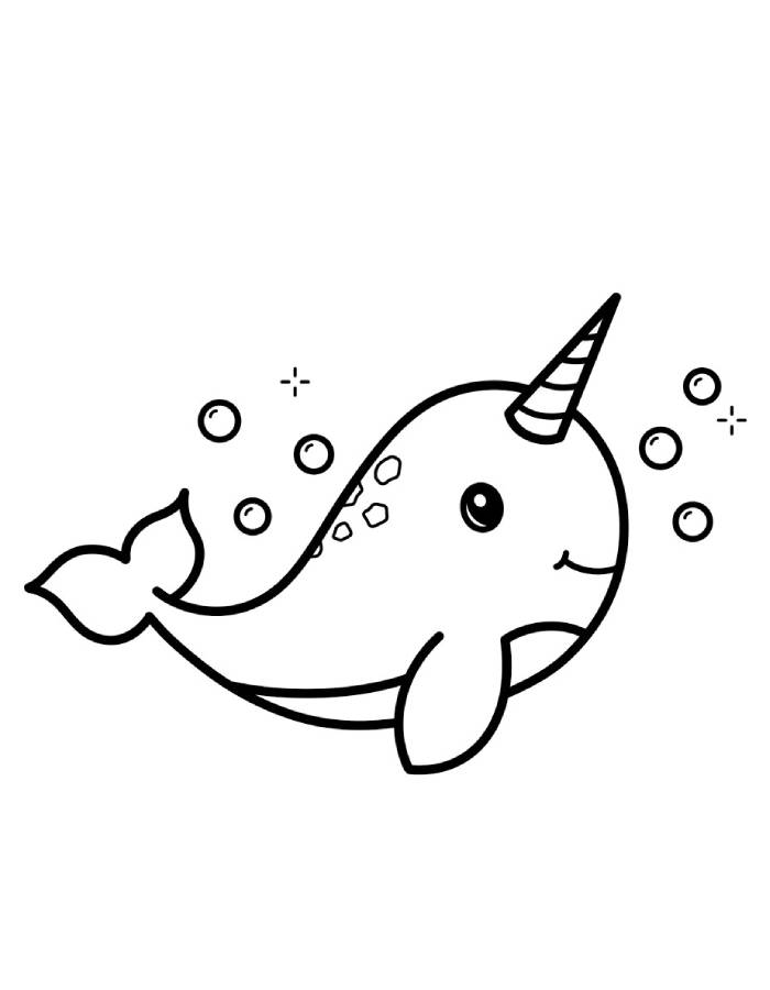 Narwhal Outline Pdf Coloring Page