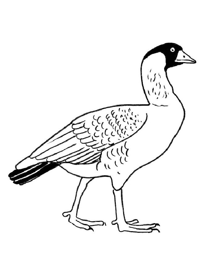 Nene Goose Drawing Coloring Page