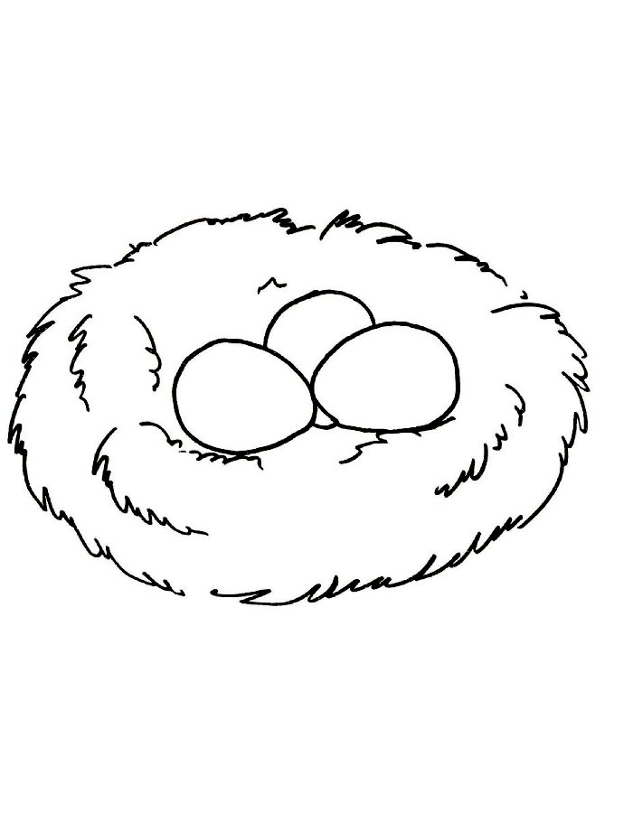 Nest  coloring page