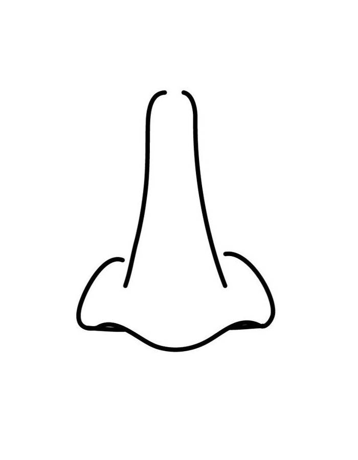 Nose Outline Drawing Coloring Page