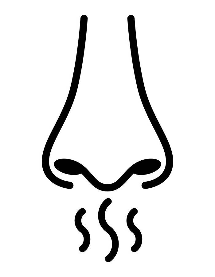 Nose Smell Coloring Page