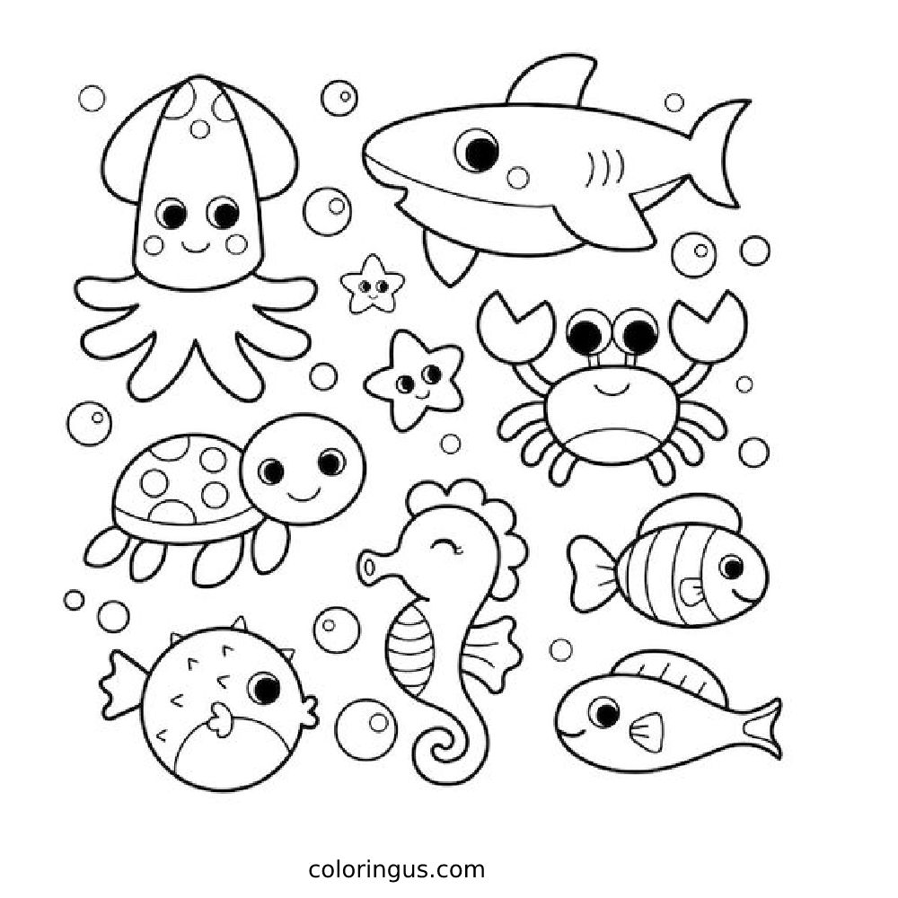 Ocean Creatures