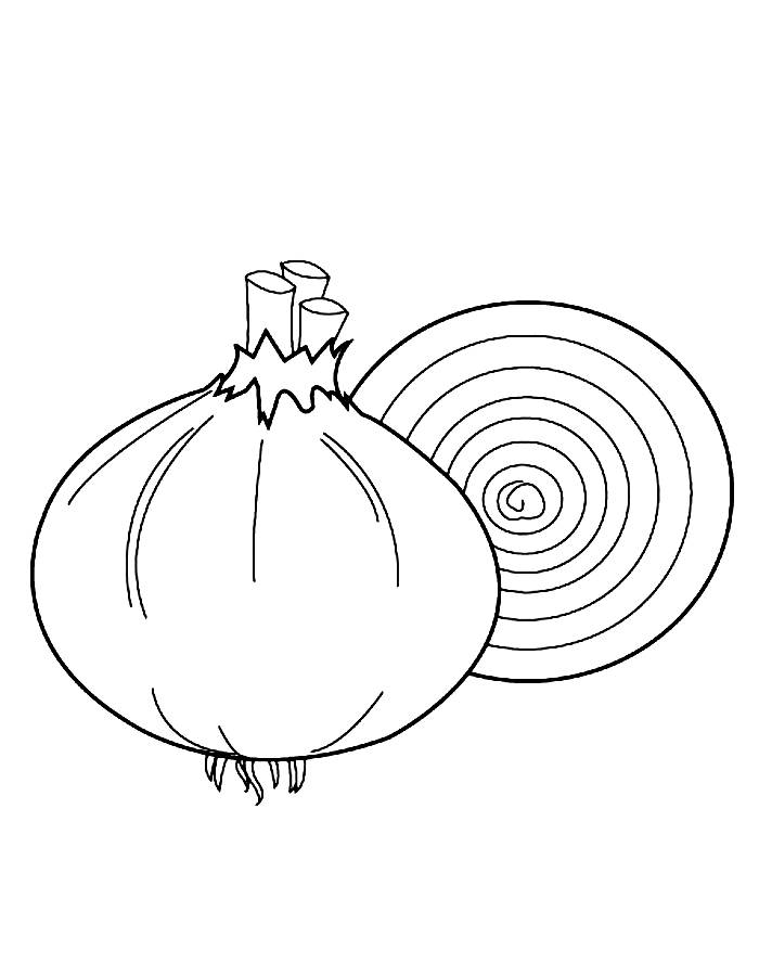 Onion  coloring page