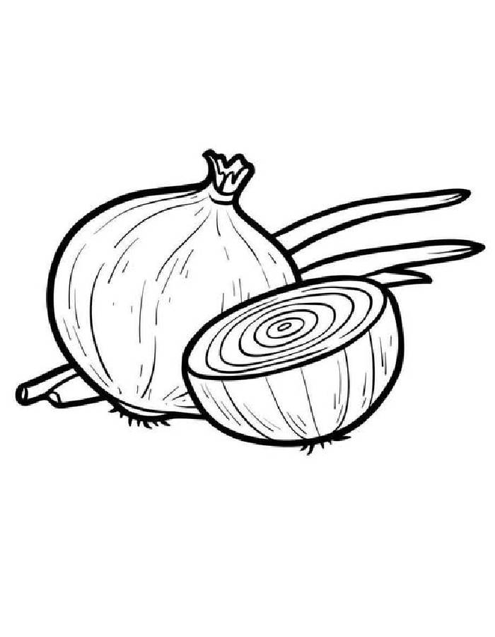 Onion Drawing Realistic Coloring Page