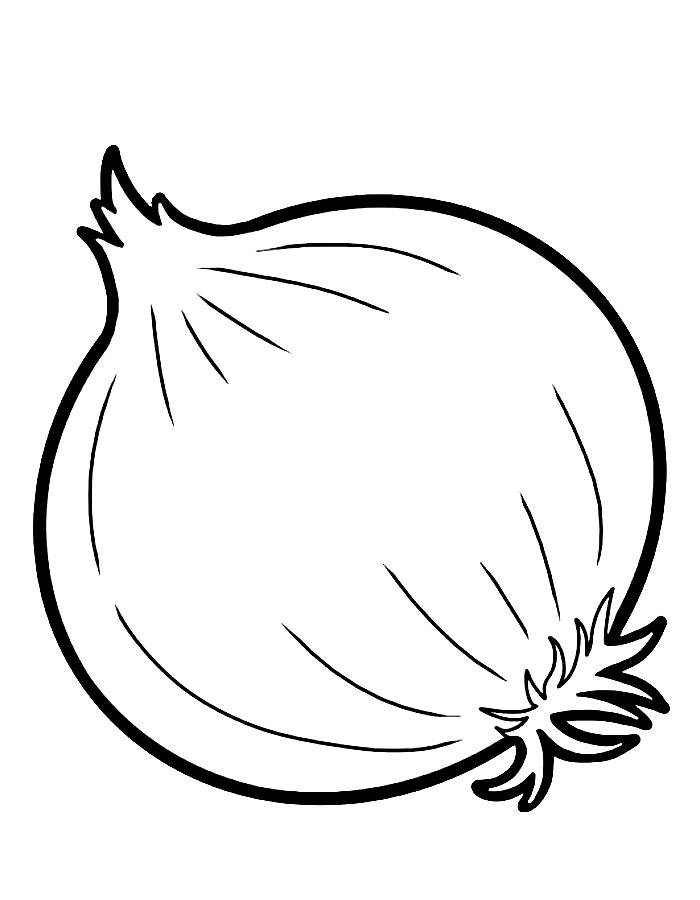 Onion  Line Art Coloring Page