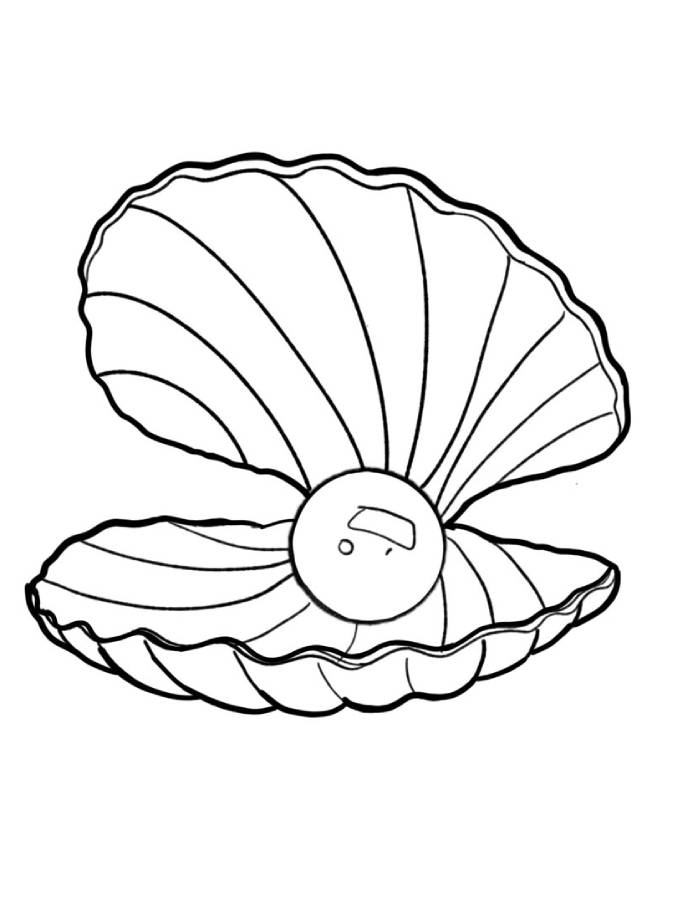 Open Clam With Pearl Coloring Page