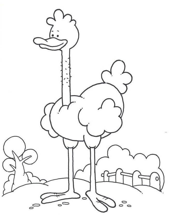 Ostrich Cartoon
