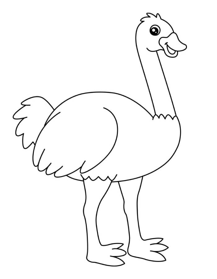 Ostrich Printable Outline Coloring Page