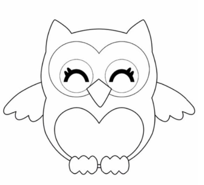 Owl Drawing